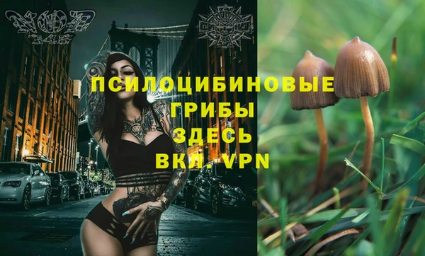 дмт Белокуриха