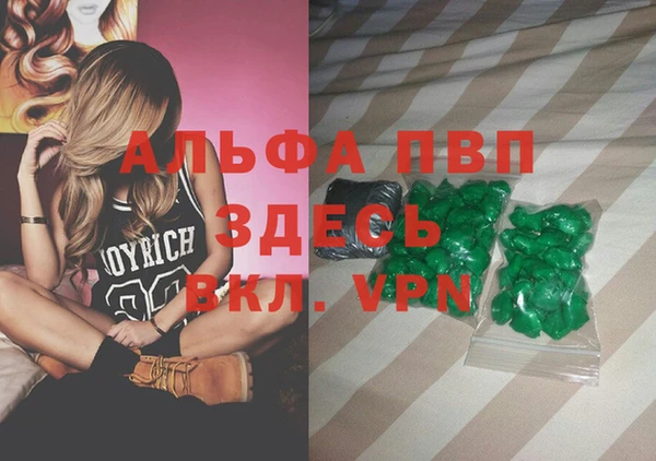 дмт Белокуриха