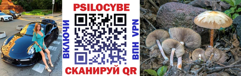 наркота hydra сайт Псилоцибиновые грибы мицелий Малоярославец
