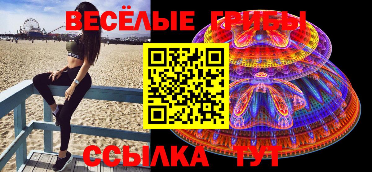 Псилоцибиновые грибы мицелий  Вход с VPN  Малоярославец 